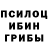 Псилоцибиновые грибы мицелий Ser Tor