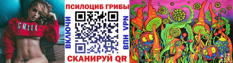 блэк спрут рабочий сайт  Черемхово  Псилоцибиновые грибы прущие грибы 